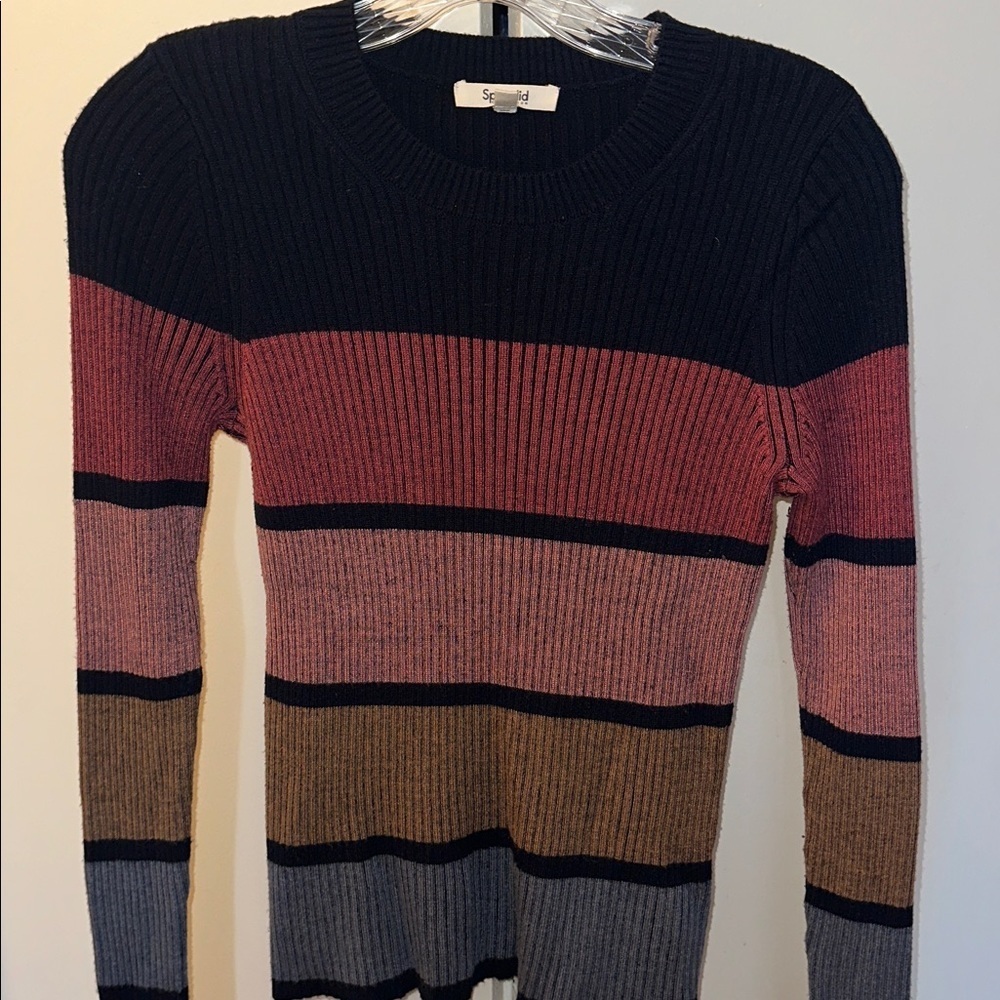 Beautiful Splendid multi stripe rib long sleeve sweater